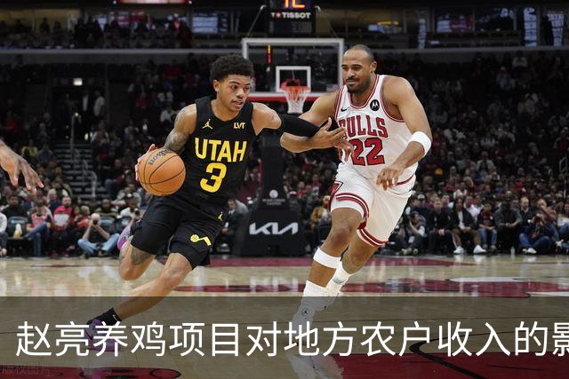 赵亮养鸡项目对地方农户收入的影响及其可持续性分析